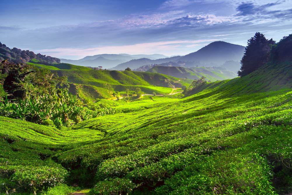 Maleisië